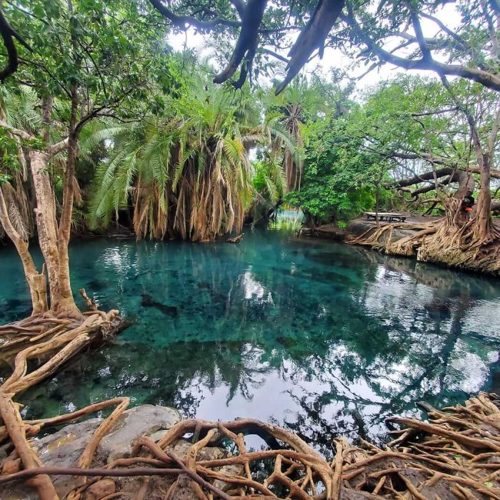 Chemka Hot Springs (1)