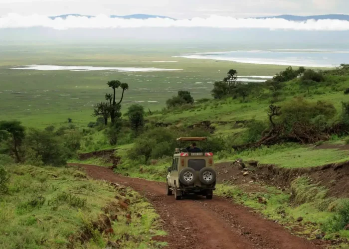 Ngorongoro-Crater game drives