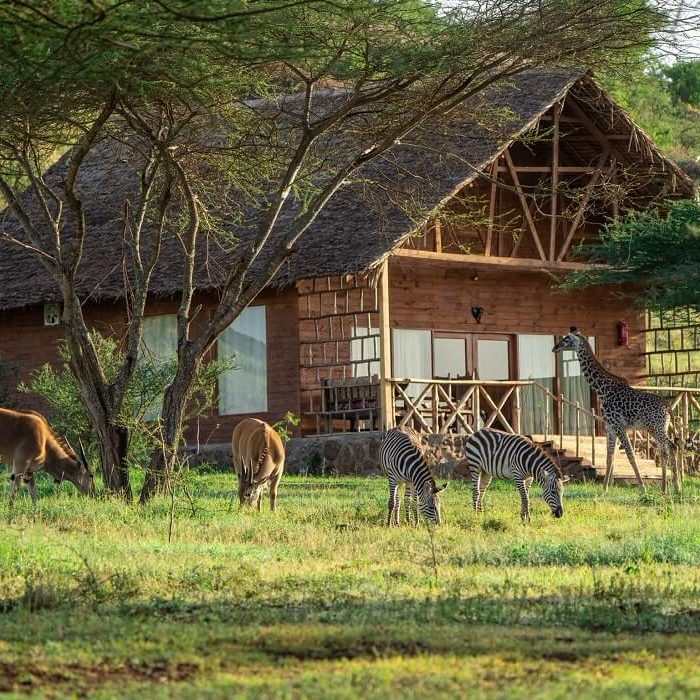 Serval Wildlife Sanctuary (2) (1)