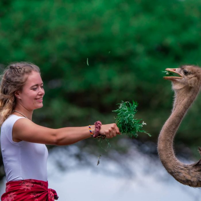 Serval Wildlife Sanctuary (3)