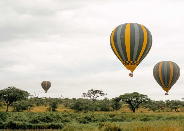 serengeti-baloon